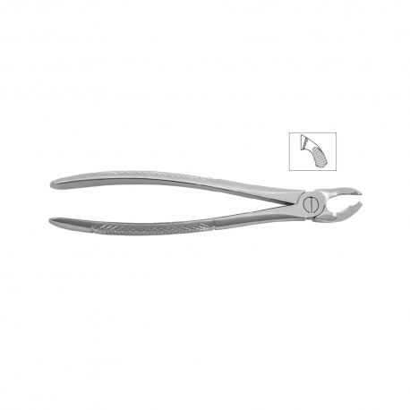 Cleste molar inferior 11-21 - HLW