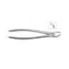 Cleste molar inferior 11-21 - HLW