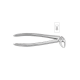 Cleste molar inferior 11-22 - HLW