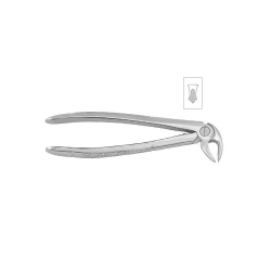 Cleste molar inferior 11-22 - HLW