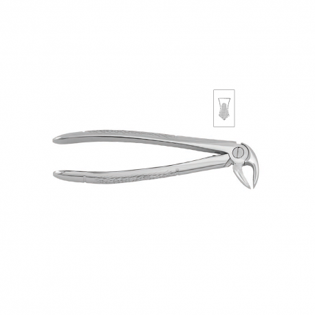 Cleste molar inferior 11-22 - HLW