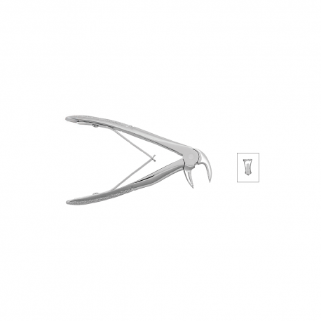 Cleste molar inferior copii 11-6B - HLW