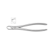 Cleste molar superior dreapta 11-89 - HLW