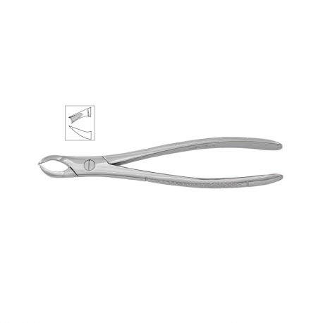 Cleste molar superior dreapta 11-89 - HLW