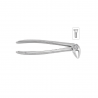 Cleste premolar inferior, forma anatomica 12-13 - HLW