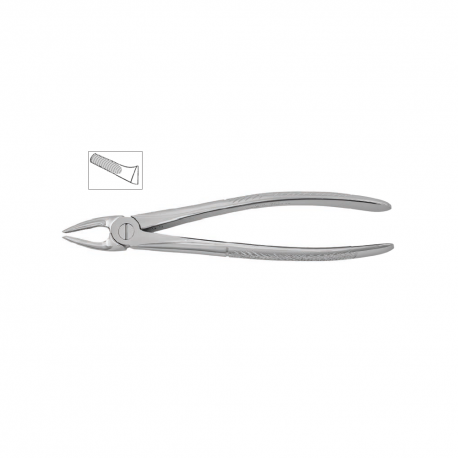 Cleste premolar superior, forma anatomica 12-7 - HLW
