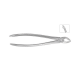Cleste premolar inferior 11-8 - HLW