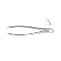 Cleste premolar inferior 11-8 - HLW