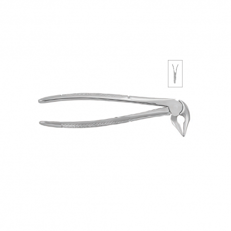 Cleste radacini inferioare 11-136 - HLW