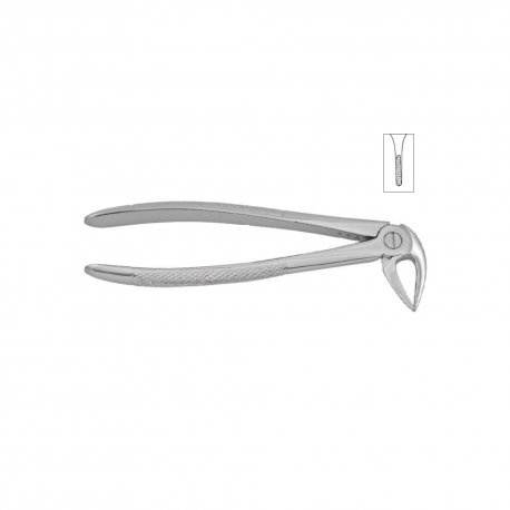 Cleste radacini inferioare 11-33M - HLW
