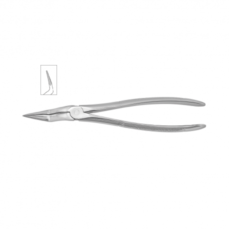 Cleste radacini superioare 11-151 - HLW