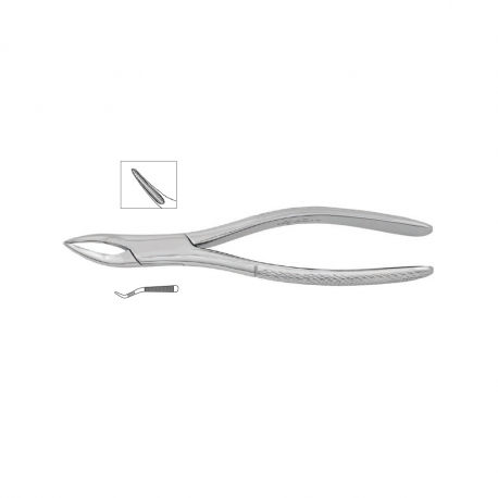 Cleste radacini superioare 11-501 - HLW