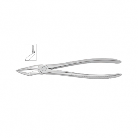 Cleste radacini superioare, forma anatomica 12-51 - HLW