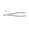 Cleste radacini superioare 11-51K - HLW