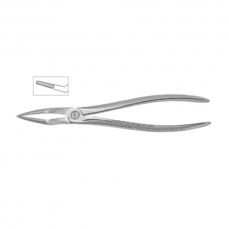 Cleste radacini superioare, forma anatomica 12-51M - HLW