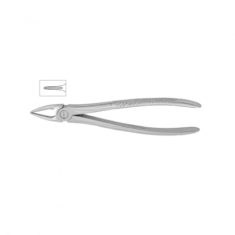 Cleste radacini superioare 11-29N - HLW