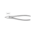 Cleste radacini superioare 11-29N - HLW