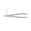 Cleste radacini superioare 11-152 - HLW