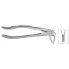 Cleste rădăcini inferioare 12-33m Hlw
