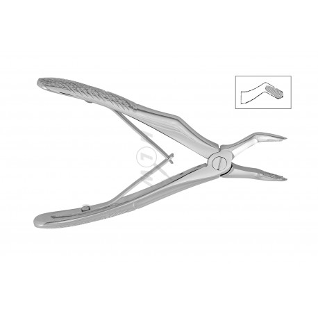 Cleste molari superiori copii 12-3B HLW