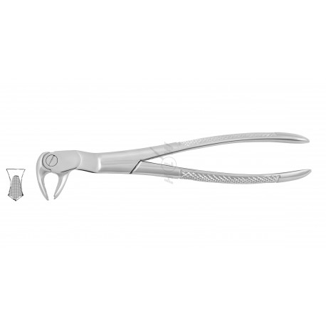 Cleste molar de minte inferior dreapta 11-122R HLW