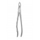 Cleste molar de minte sup 12-67N HLW