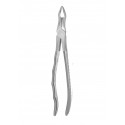 Cleste molar de minte superior 12-67N HLW