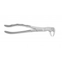 Cleste molar de minte inferior stanga 12-122L HLW