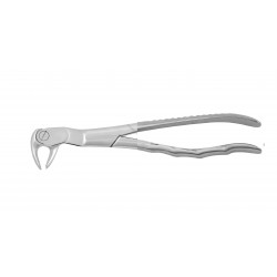 Cleste molar de minte inferior dreapta 12-122R HLW