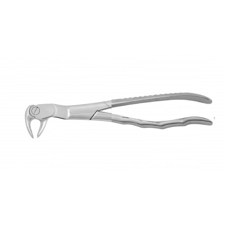 Cleste molar de minte inferior dreapta 12-122R HLW