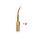 Anse detartraj Woodpecker/EMS - GOLD