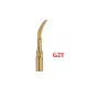 Anse detartraj Woodpecker/EMS - GOLD