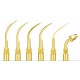 Anse detartraj Woodpecker/EMS - GOLD