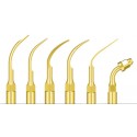 Anse detartraj Woodpecker/EMS - GOLD