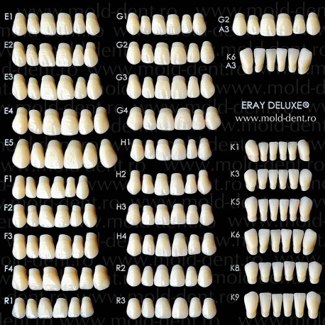 Garnituri de dinti Eray Deluxe acrilat