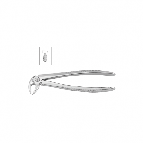 Cleste molari inferiori copii 11-22S - HLW