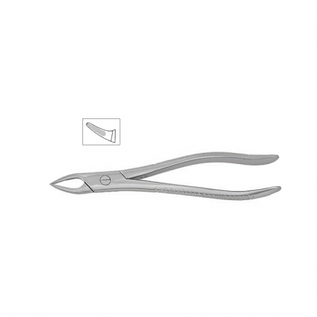 Cleste radacini superioare copii 11-76S - HLW