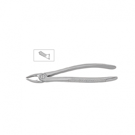 Cleste molar superior copii 11-39A - HLW