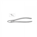 Cleste molar superior copii 11-39A - HLW