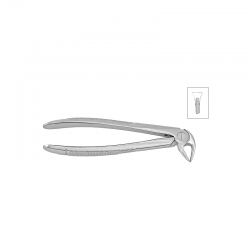 Cleste radacini inferioare copii 11-33S - HLW