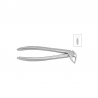 Cleste radacini inferioare copii 11-33S - HLW