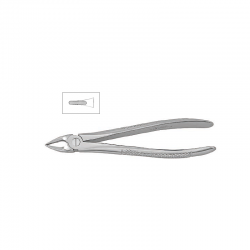 Cleste radacini superioare copii 11-29S - HLW