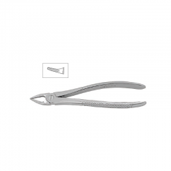Cleste radacini superioare copii 11-30S - HLW