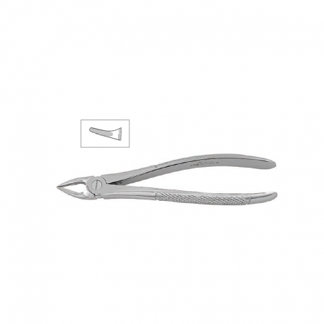 Cleste radacini superioare copii 11-30S - HLW