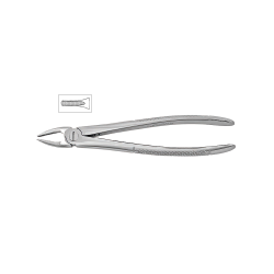 Cleste incisiv superior 11-2 - HLW