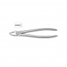 Cleste incisiv superior 11-2 - HLW