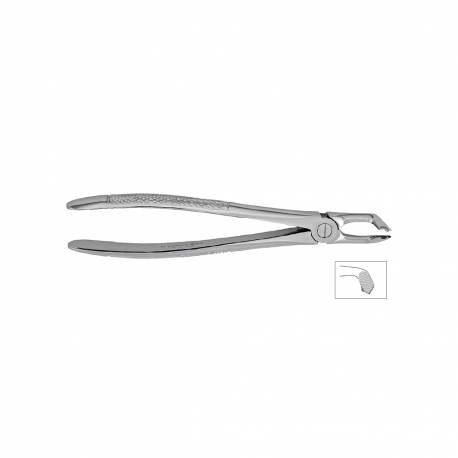 Cleste molar de minte inferior, forma anatomica 12-79 - HLW