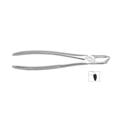 Cleste molar de minte inferior, forma anatomica 12-79N - HLW